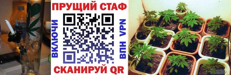 Наркота Черноголовка Каннабис Alpha PVP Меф