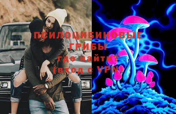 мяу мяу мука Абаза