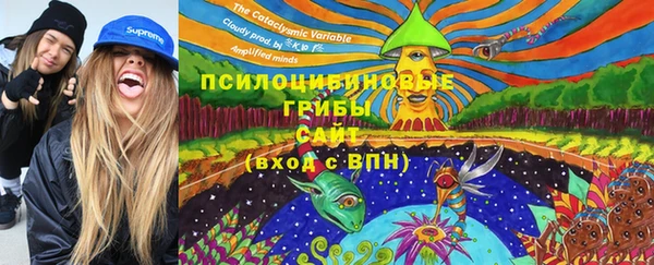 ПСИЛОЦИБИНОВЫЕ ГРИБЫ Аркадак