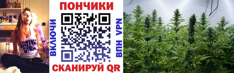 Конопля AK-47  гидра ССЫЛКА  Черноголовка 
